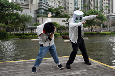 火鳳凰社區支援服務計劃